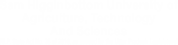 Mobile Image